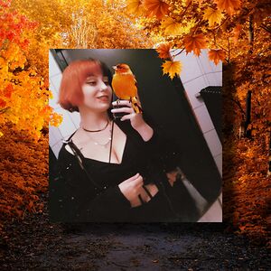 babettemetten avatar