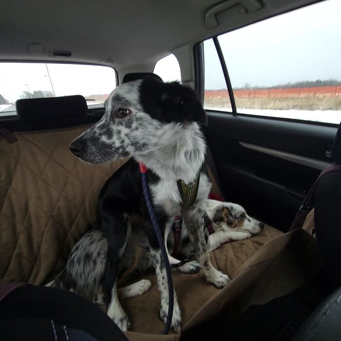Using His Sister As A Booster Seat
