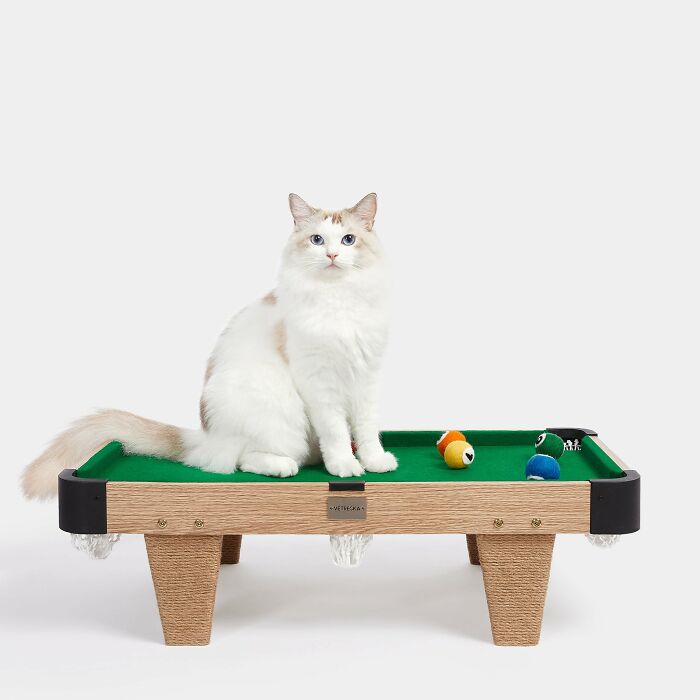 White cat sitting on a mini pool table 