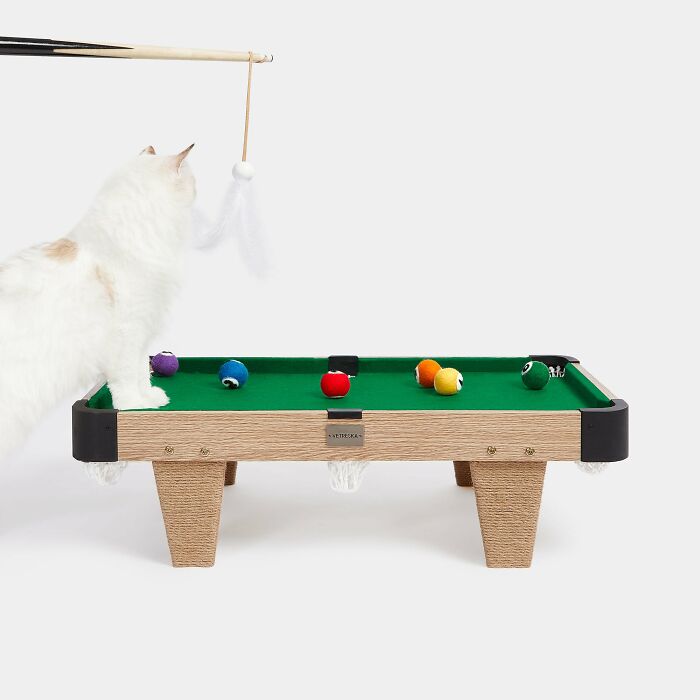 White cat playing on a small pool table White cat playing on a small pool table