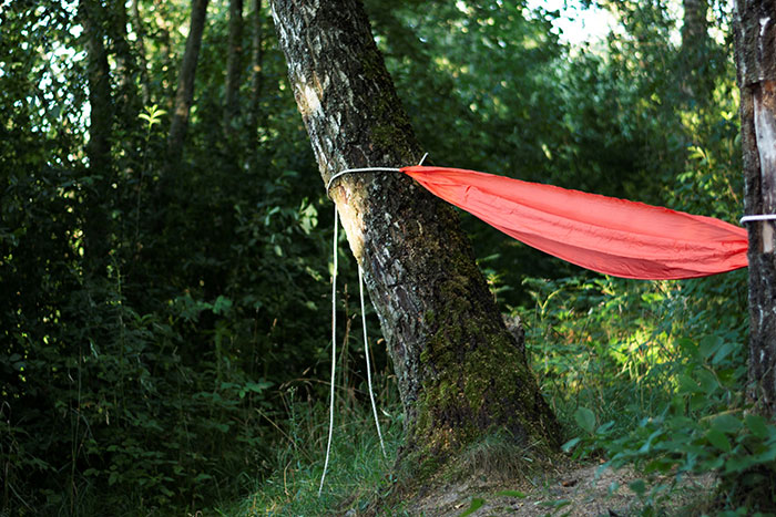 Hammock attached totwo trees in a forest