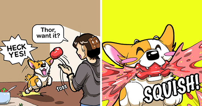 I Capture The Funny Reality Of Being A Dog Owner And Put It Into My Comics (25 New Pics)
