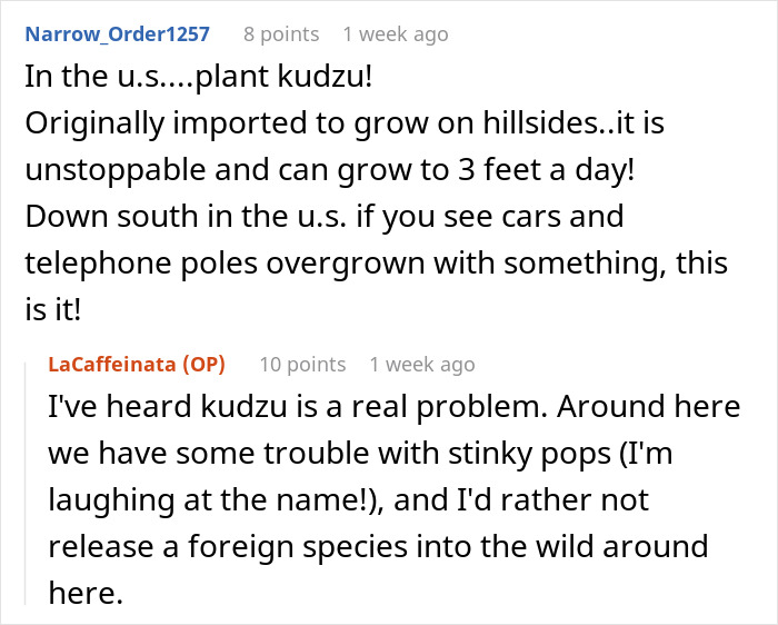 "By The Time This Problem Becomes Obvious, We Will Be Long Gone": Woman Plants Mint In Her Partner's Family's Garden To Get Revenge On Rude Neighbor "By The Time This Problem Becomes Obvious, We Will Be Long Gone": Woman Plants Mint In Her Partner's Family's Garden To Get Revenge On Rude Neighbor