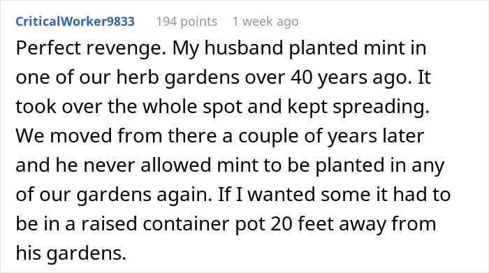 "By The Time This Problem Becomes Obvious, We Will Be Long Gone": Woman Plants Mint In Her Partner's Family's Garden To Get Revenge On Rude Neighbor