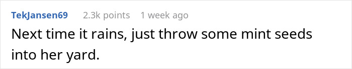 "By The Time This Problem Becomes Obvious, We Will Be Long Gone": Woman Plants Mint In Her Partner's Family's Garden To Get Revenge On Rude Neighbor "By The Time This Problem Becomes Obvious, We Will Be Long Gone": Woman Plants Mint In Her Partner's Family's Garden To Get Revenge On Rude Neighbor