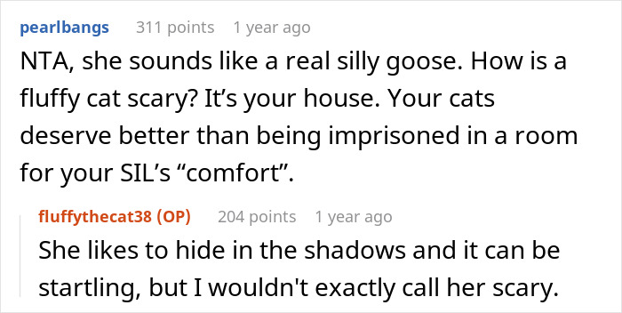 Brother And SIL Come To Visit But Are Upset The Homeowner&rsquo;s Cat Is Free To Walk Around The House As They Get Startled By It