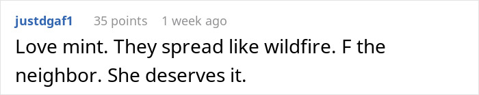 "By The Time This Problem Becomes Obvious, We Will Be Long Gone": Woman Plants Mint In Her Partner's Family's Garden To Get Revenge On Rude Neighbor "By The Time This Problem Becomes Obvious, We Will Be Long Gone": Woman Plants Mint In Her Partner's Family's Garden To Get Revenge On Rude Neighbor