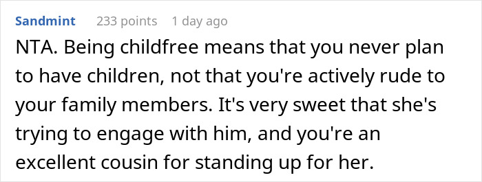 Person Wonders Whether It Was OK To Confront Their “Childfree” Sibling For Consistently Mistreating Their Little Cousin