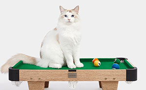 This Company Created An Unusual Toy For Cats Shaped Like A Pool Table