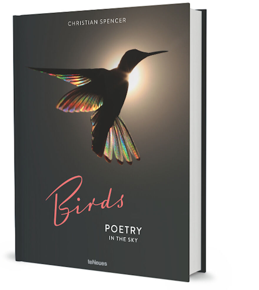 This Artist Captures Birds In Their Natural Habitat In His Photo Book "Birds Poetry In The Sky" This Artist Captures Birds In Their Natural Habitat In His Photo Book "Birds Poetry In The Sky"