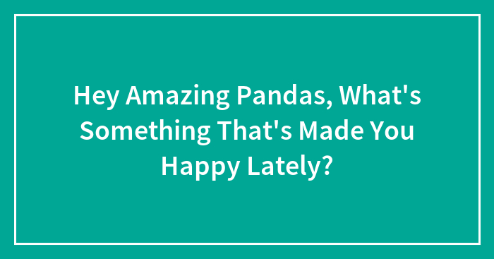 Hey Amazing Pandas, What’s Something That’s Made You Happy Lately?