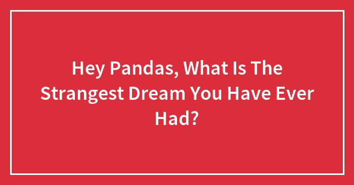 Hey Pandas, What Is The Strangest Dream You Have Ever Had?