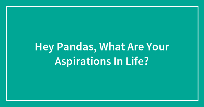 Hey Pandas, What Are Your Aspirations In Life?