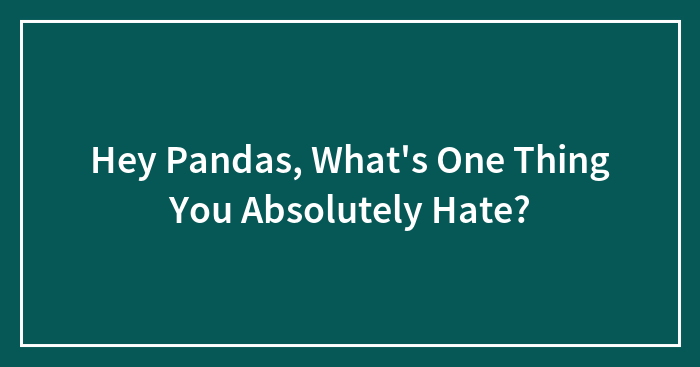Hey Pandas, What’s One Thing You Absolutely Hate?