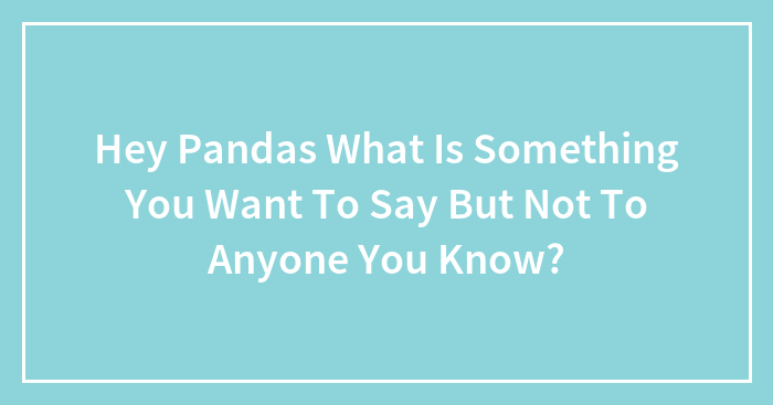 Hey Pandas What Is Something You Want To Say But Not To Anyone You Know?