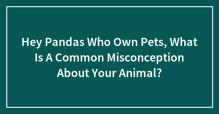 Hey Pandas Who Own Pets, What Is A Common Misconception About Your Animal?