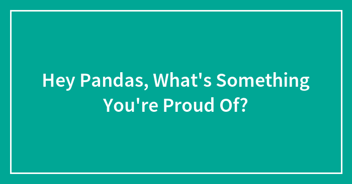 Hey Pandas, What’s Something You’re Proud Of?