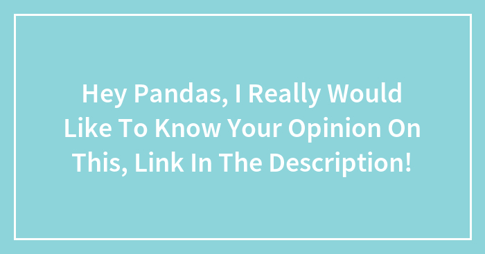 Hey Pandas, I Really Would Like To Know Your Opinion On This, Link In The Description!