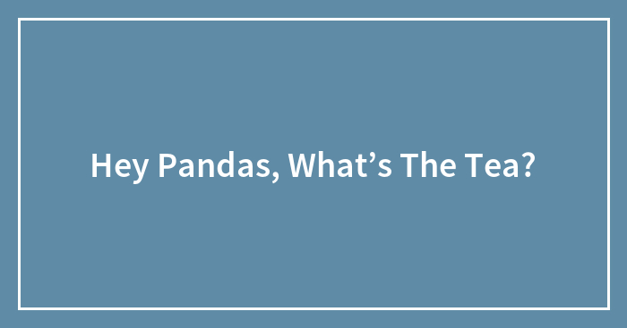Hey Pandas, What’s The Tea?
