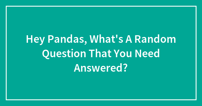 Hey Pandas, What’s A Random Question That You Need Answered?