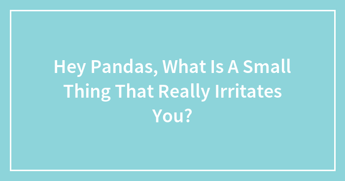 Hey Pandas, What Is A Small Thing That Really Irritates You?