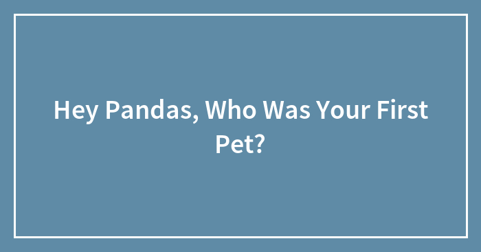Hey Pandas, Who Was Your First Pet?