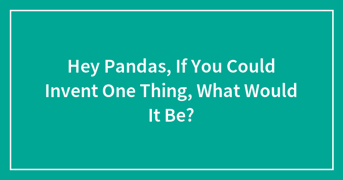 Hey Pandas, If You Could Invent One Thing, What Would It Be?