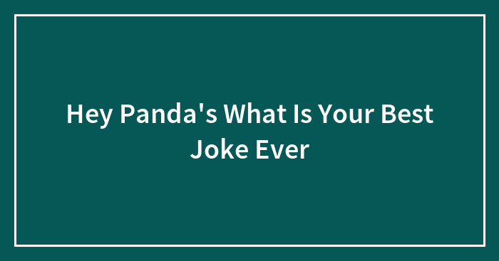 Hey Panda’s What Is Your Best Joke Ever