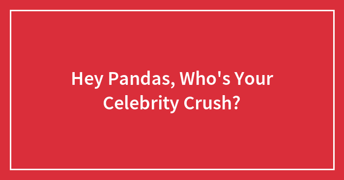 Hey Pandas, Who’s Your Celebrity Crush?