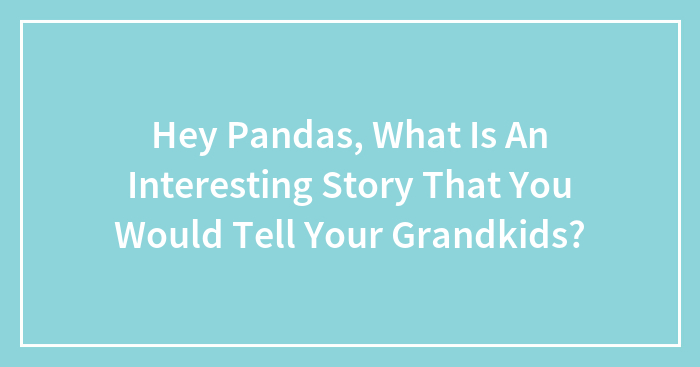 Hey Pandas, What Is An Interesting Story That You Would Tell Your Grandkids?