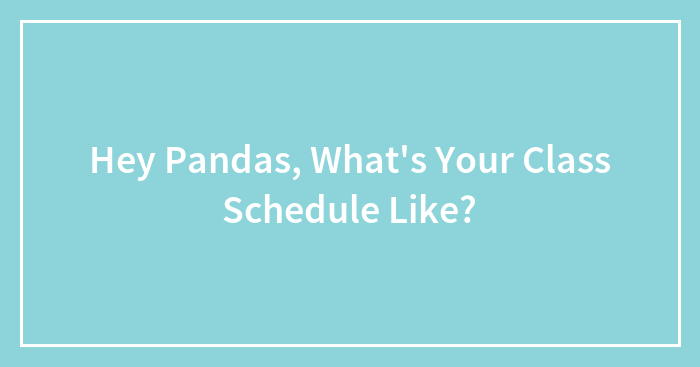 Hey Pandas, What’s Your Class Schedule Like?