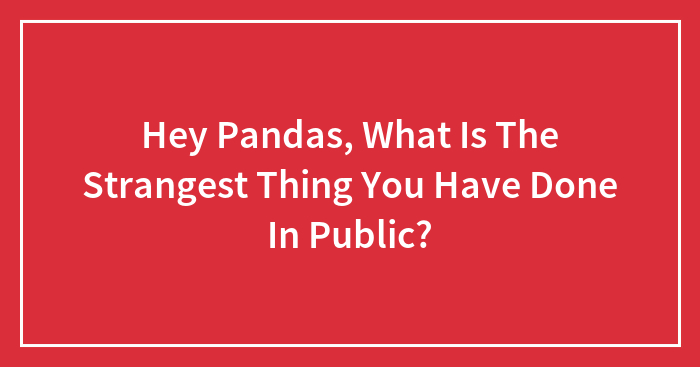Hey Pandas, What Is The Strangest Thing You Have Done In Public?