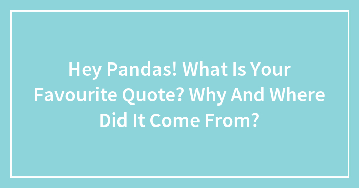Hey Pandas, What Are Your Favourite Quotes? (Closed)