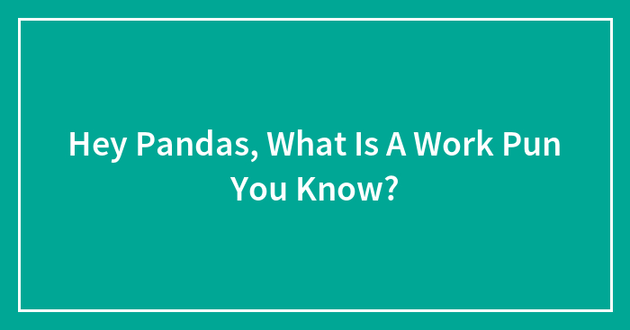 Hey Pandas, What Is A Work Pun You Know? (Closed)