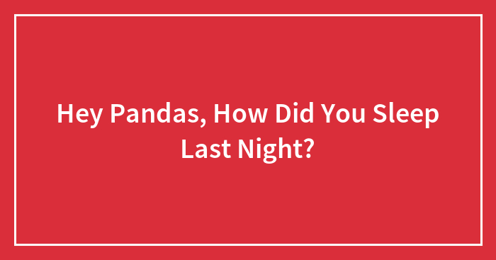 Hey Pandas, How Did You Sleep Last Night?