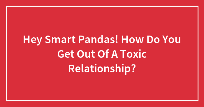 Hey Smart Pandas! How Do You Get Out Of A Toxic Relationship?