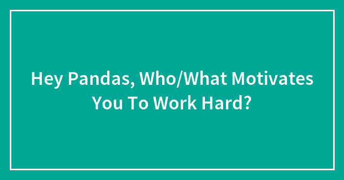 Hey Pandas, Who/What Motivates You To Work Hard?