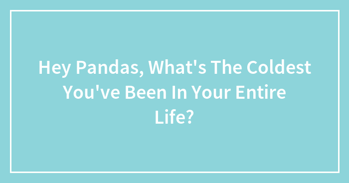 Hey Pandas, What’s The Coldest You’ve Been In Your Entire Life?