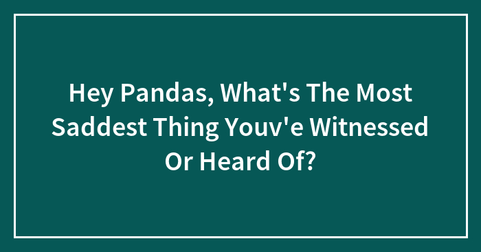 Hey Pandas, What’s The Most Saddest Thing Youv’e Witnessed Or Heard Of?