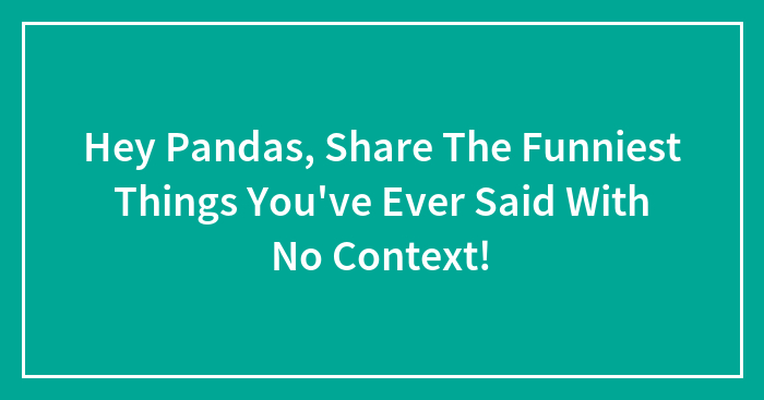 Hey Pandas, Share The Funniest Things You’ve Ever Said With No Context!