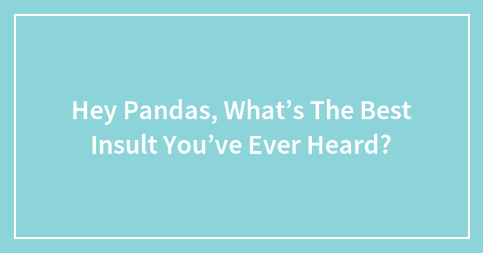 Hey Pandas, What’s The Best Insult You’ve Ever Heard?