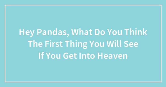 Hey Pandas, What Do You Think The First Thing You Will See If You Get Into Heaven