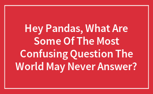 Hey Pandas, What Are Some Of The Most Confusing Question The World May Never Answer?