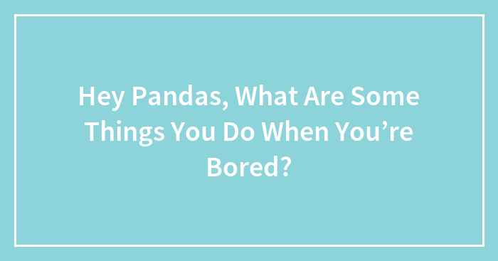 Hey Pandas, What Are Some Things You Do When You’re Bored? (Closed)