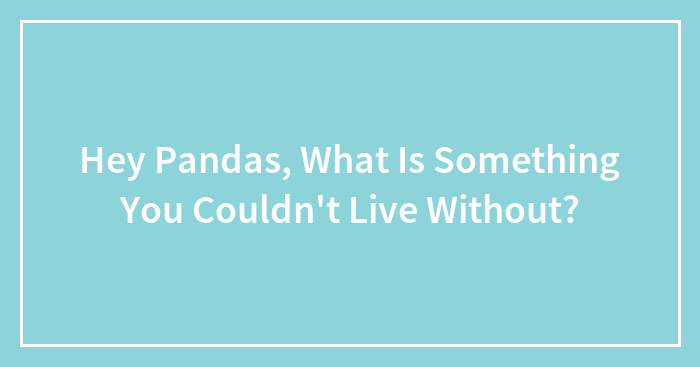 Hey Pandas, What Is Something You Couldn’t Live Without? (Closed)