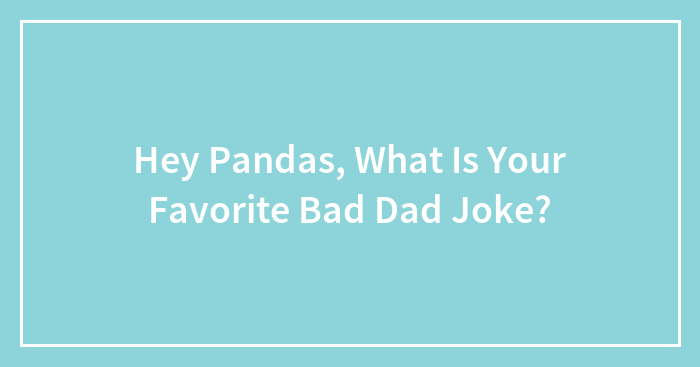 Hey Pandas, What Is Your Favorite Bad Dad Joke?