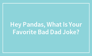 Hey Pandas, What Is Your Favorite Bad Dad Joke?
