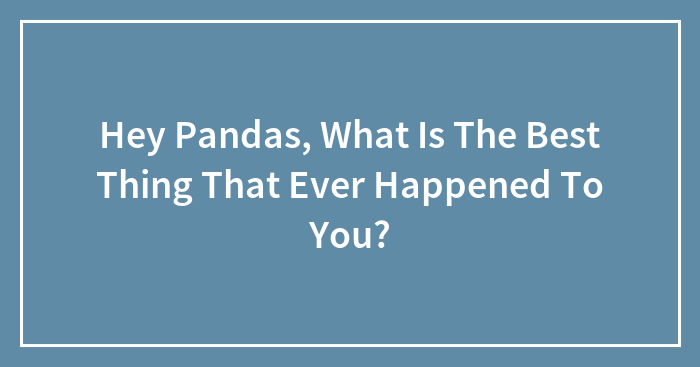Hey Pandas, What Is The Best Thing That Ever Happened To You?