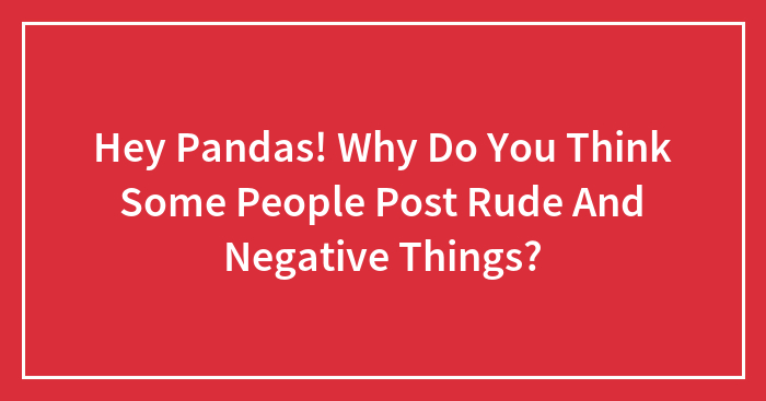 Hey Pandas! Why Do You Think Some People Post Rude And Negative Things?