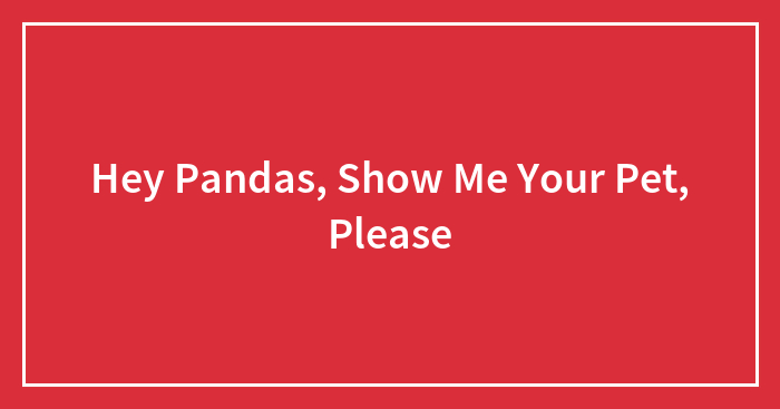 Hey Pandas, Show Me Your Pet, Please